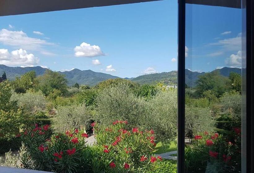 Номер Стандарт, Salvia E Rosmarino   Affittacamere In Liguria