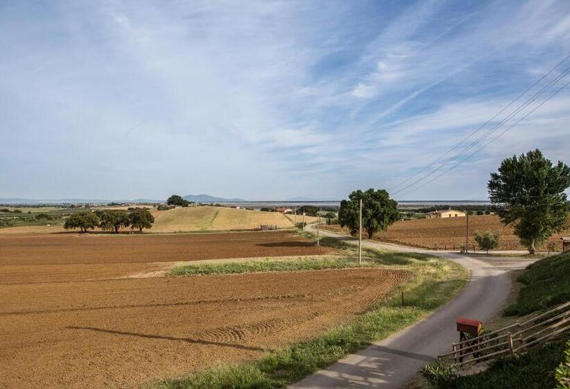 Apartamento 1 Dormitório, Agriturismo Diaccia Botrona