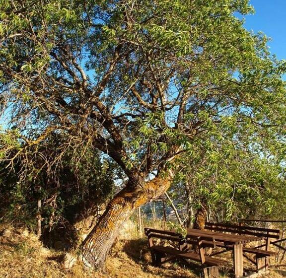 سوییت خانوادگی, Agriturismo Gelso