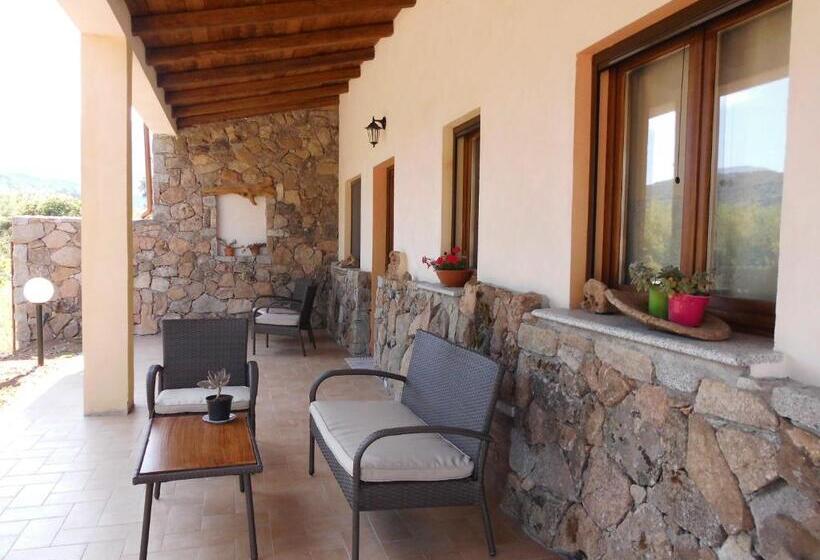Номер Стандарт с Террасой, Munduge B&b