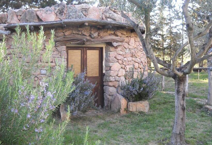 Студио Стандарт Вид на Сад, Munduge B&b