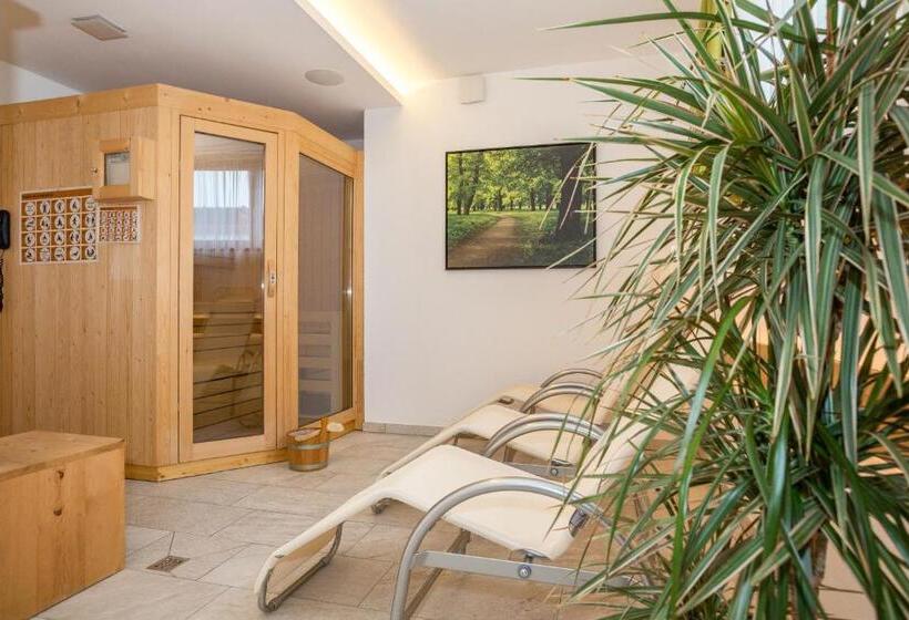 Студия Стандарт, Residence Aichner
