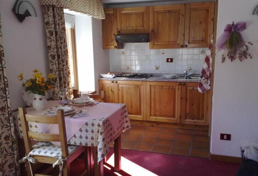 استودیوی استاندارد, Residence Pavou