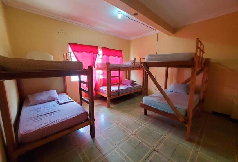 تختخواب در اتاق مشترک, Pool House Hostel
