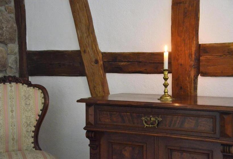 Четырехместный Номер Стандарт Вид на Сад, & Café Mohrenbrunnen