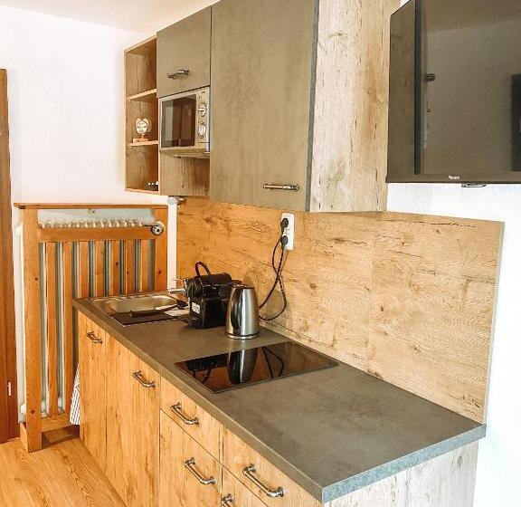Апартаменты 1 Спальня, Alpenappartements Schwalbennestl