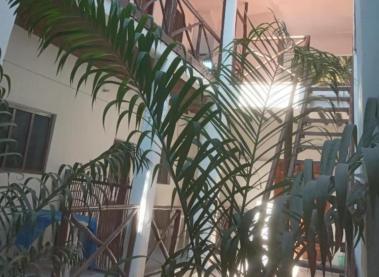 غرفة قياسية, New Iddi Villa