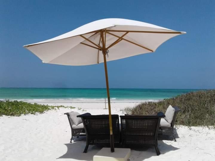 غرفة قياسية, New Iddi Villa