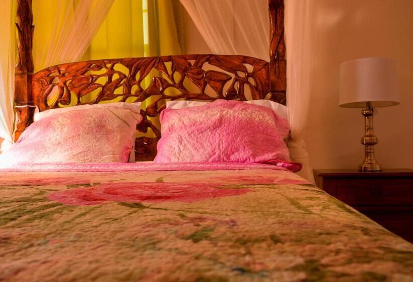 سوییت, Church Street Guest House