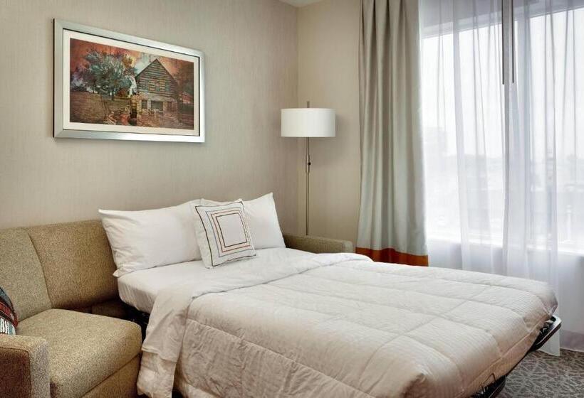带大床的豪华间, Fairfield Inn & Suites By Marriott Springfield North