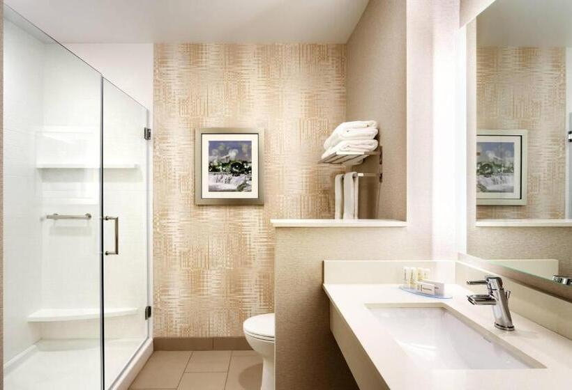 带大床的豪华间, Fairfield Inn & Suites By Marriott Springfield North