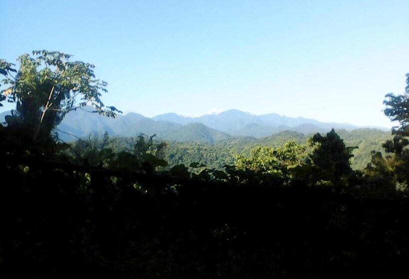 استودیوی استاندارد, Shotover Gardens Estate