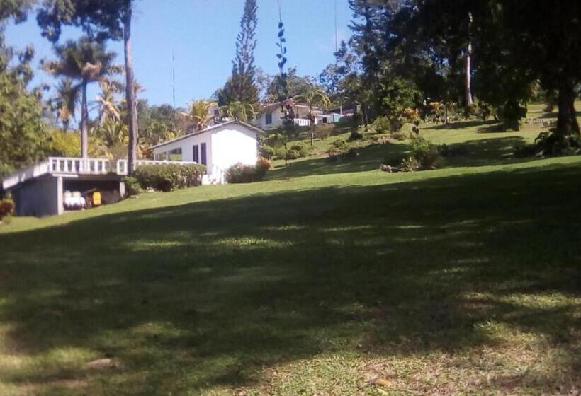 استودیوی استاندارد, Shotover Gardens Estate