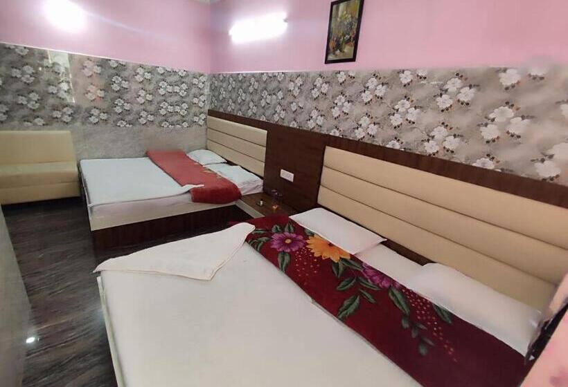 Семейный Номер Deluxe, Vidya Guest House