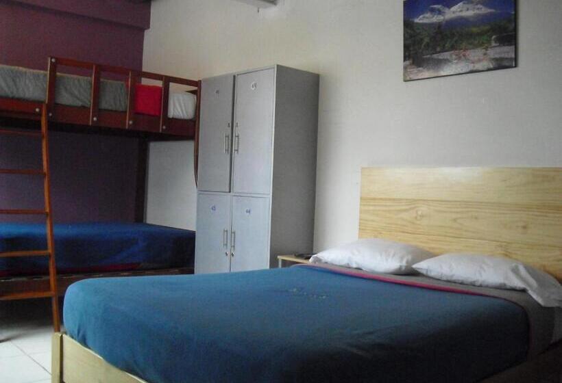 غرفة قياسية ثلاثية, Kelebek Hostel