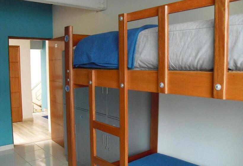 سرير فى غرفة مشتركه, Kelebek Hostel