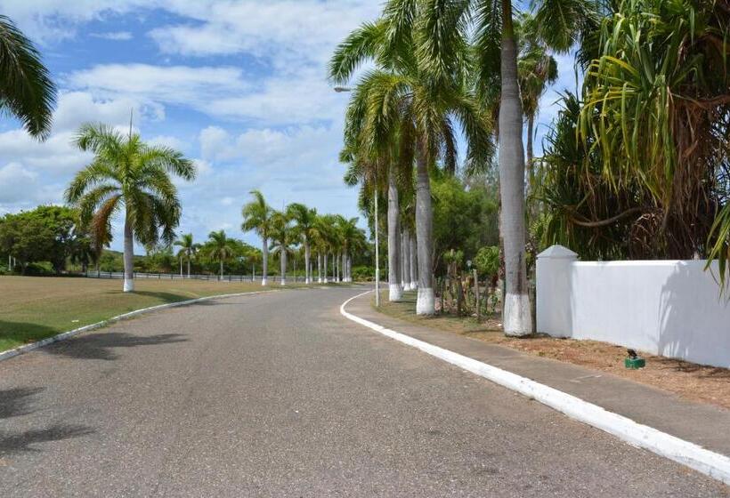 استودیو استاندارد با چشم‌انداز, Seacastles By The Beach/pool