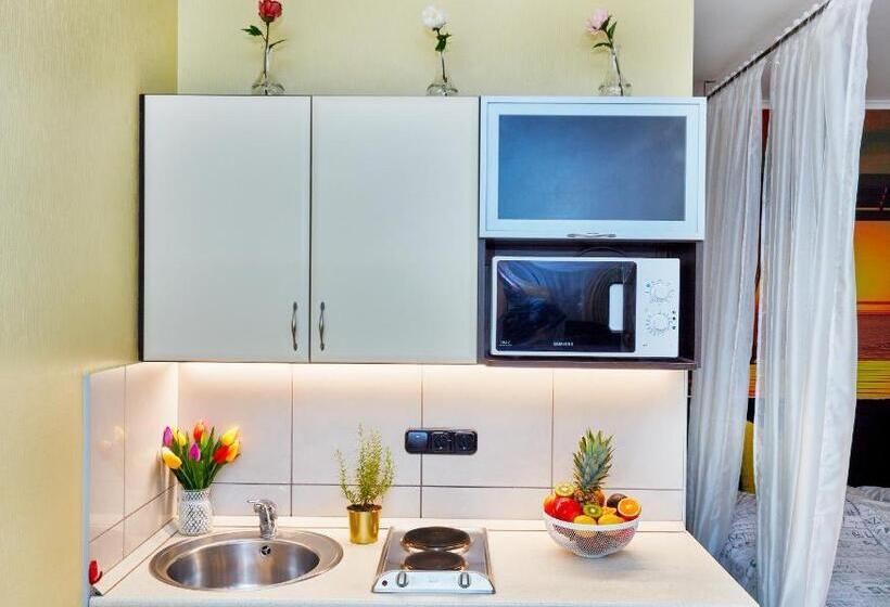 Апартаменты 1 Спальня, Vintiamo Apartmanok