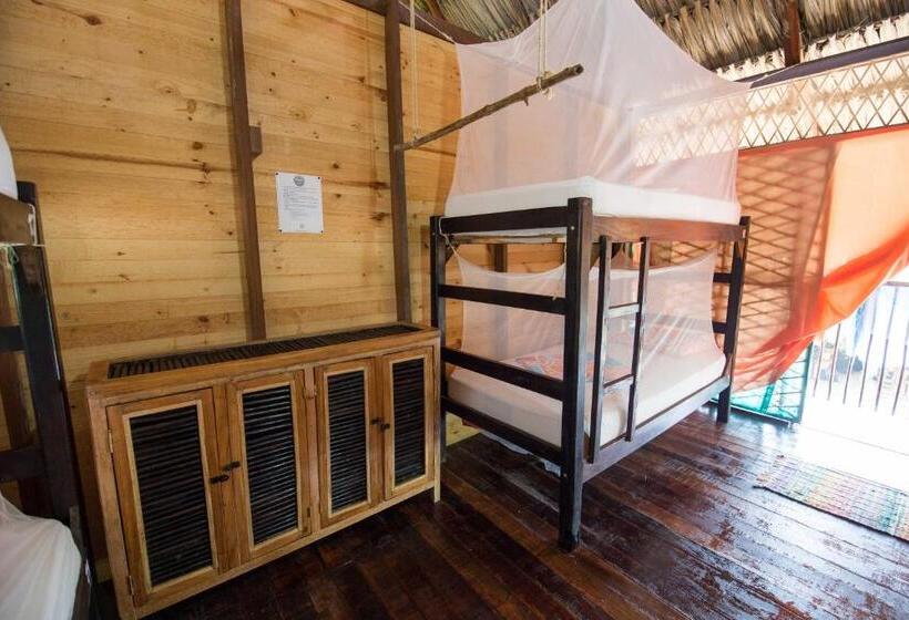 공동 객실, Bella Flor Hostel Palomino