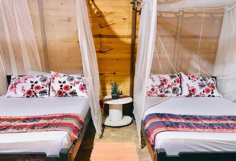 스탠다드 룸, Bella Flor Hostel Palomino