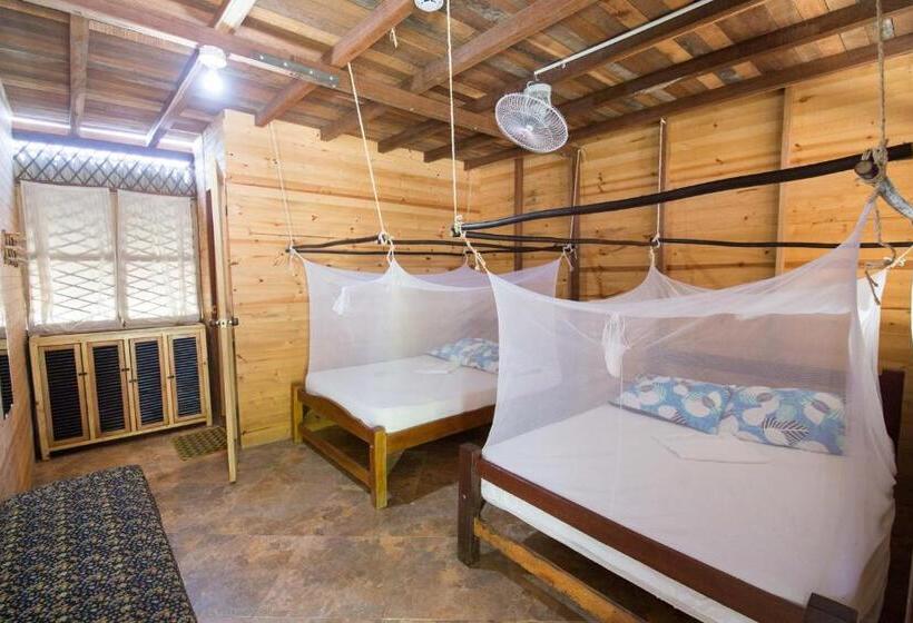스탠다드 룸, Bella Flor Hostel Palomino