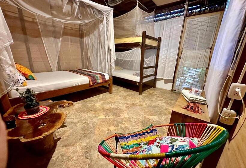 클래식 4인 룸, Bella Flor Hostel Palomino