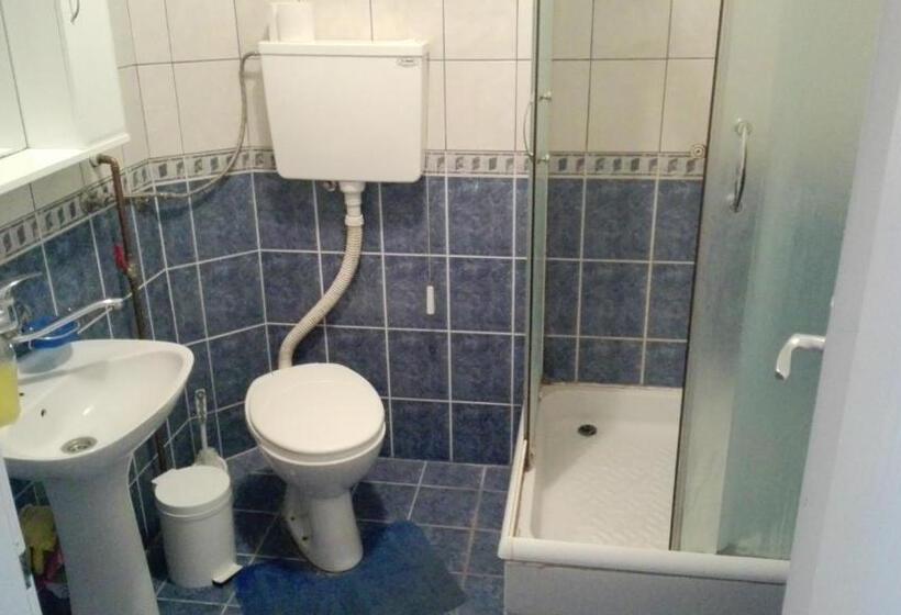 استودیوی استاندارد, Guest House Trajkovic