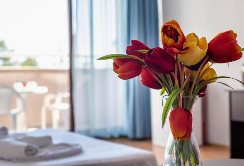 Студия Стандарт Вид на Море, 1 St Line Izvora Sea View Apartments On Golden Sands