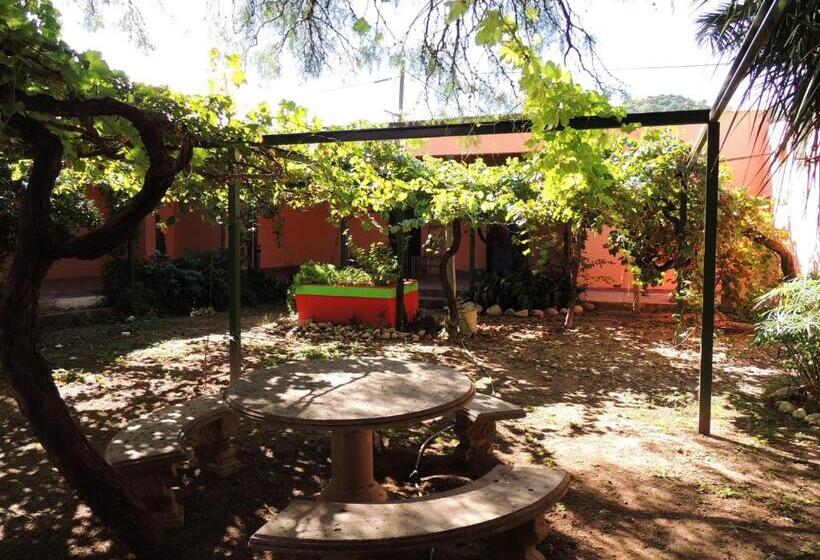 Бунгало Стандарт, Apart Cabañas De La Plaza