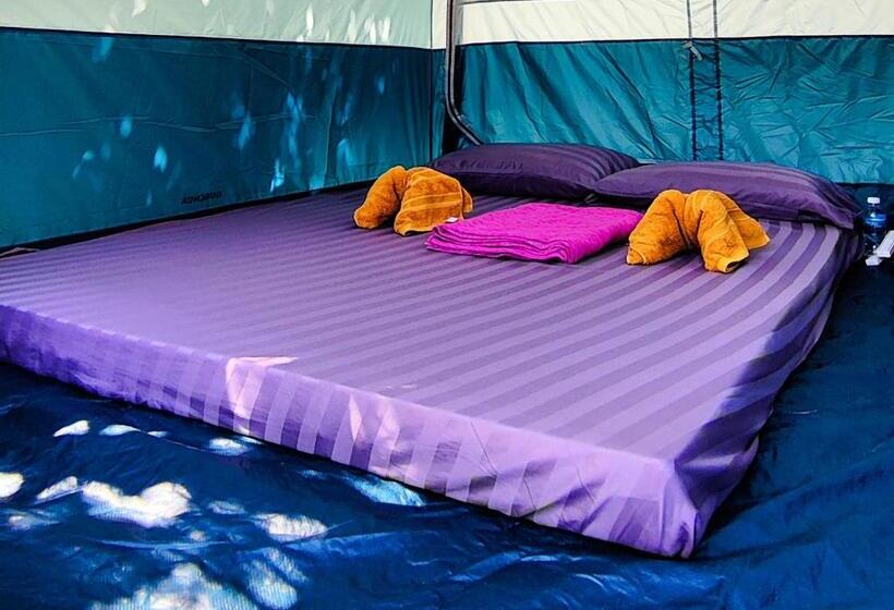 Standard Tent, Pura Vita Resort