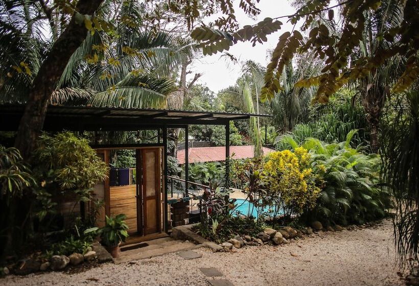 Номер Стандарт Трехместный, Believe Surf & Yoga Lodge Santa Teresa