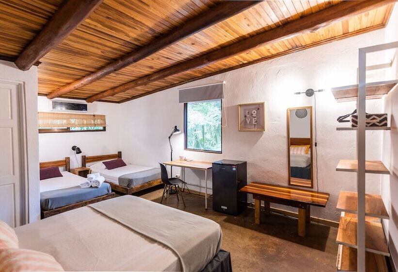 Номер Стандарт, Believe Surf & Yoga Lodge Santa Teresa