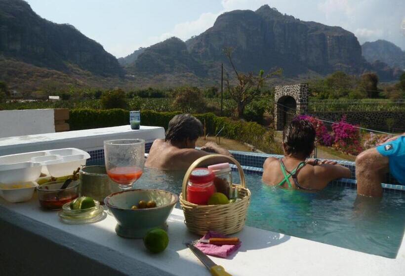 اتاق استاندارد, Villa Los Agaves   Hospedería