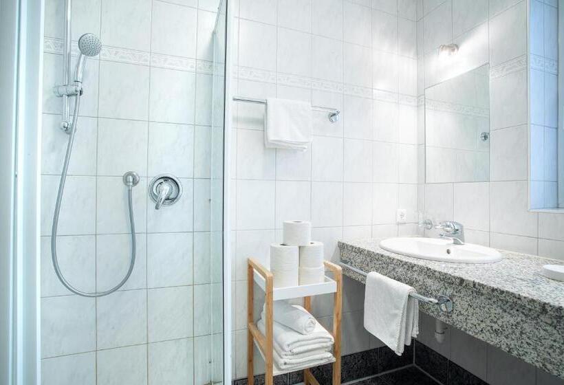 Апартаменты 1 Спальня с Террасой, Zillertal Appartements