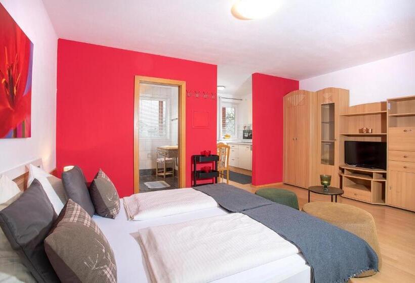 Студия Стандарт, Zillertal Appartements