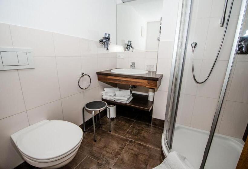 Апартаменты 1 Спальня с Видом, Apartments Blaickner