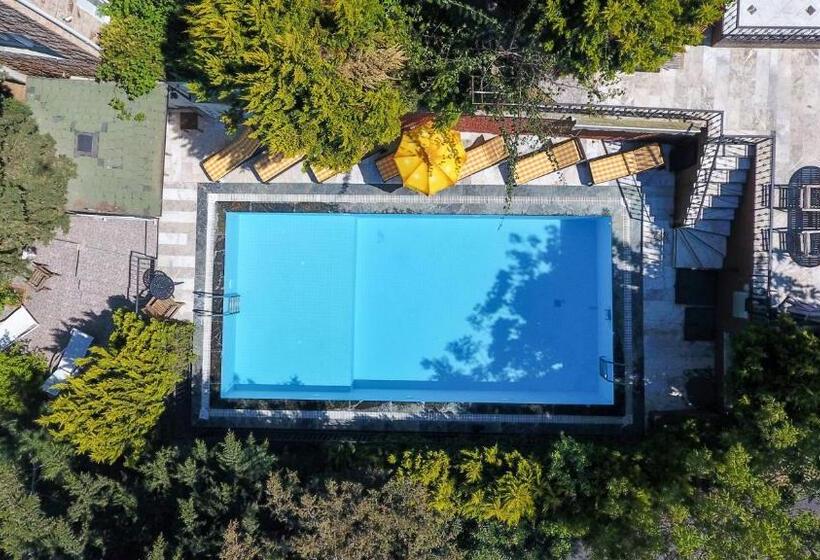 带1个卧室的高档别墅, Büyükada Apart Hotel   Karadağ Apart