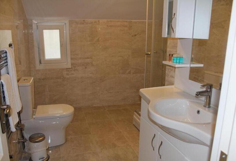 带1个卧室带泳池的公寓, Büyükada Apart Hotel   Karadağ Apart