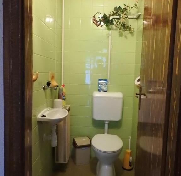 Апартаменты 1 Спальня с Балконом, Haus Gizella