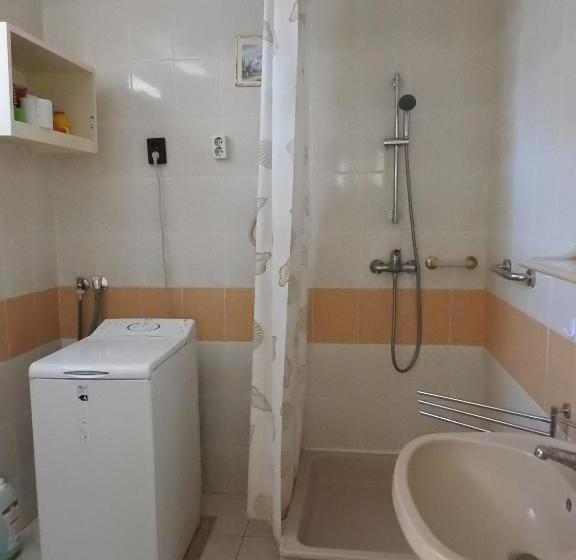 شقة غرفة نوم واحدة بالطابق الأرضى, Haus Gizella