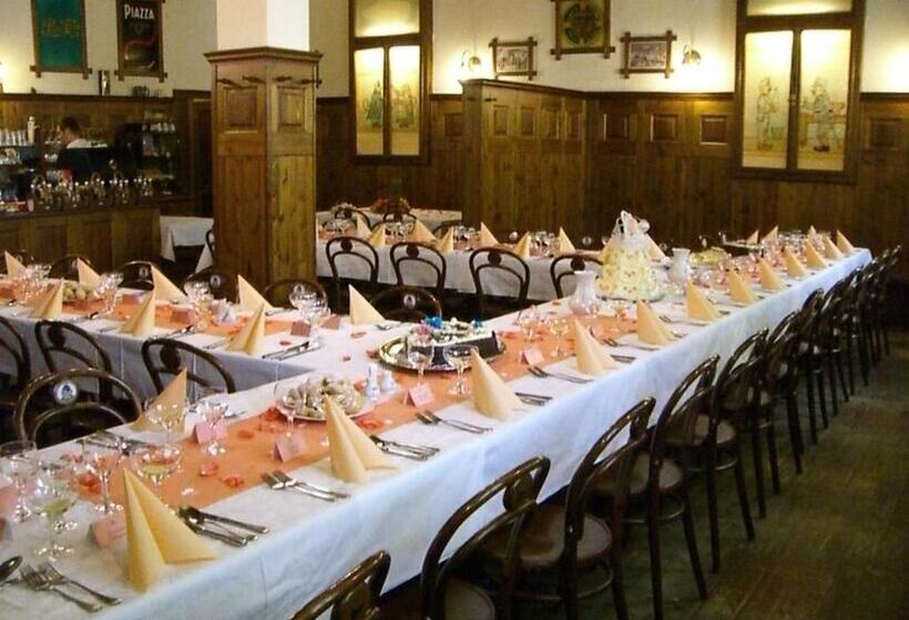 スタンダードルーム, Restaurant švejk A Pension Brno