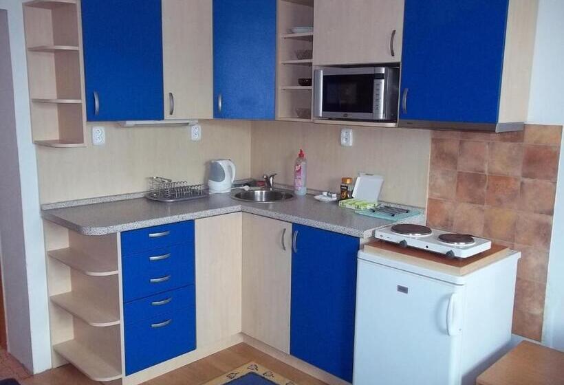آپارتمان 1 خوابه, Penzion Apartmány Zlín