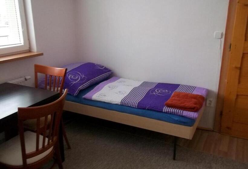 اتاق استاندارد یک نفره, Penzion Apartmány Zlín