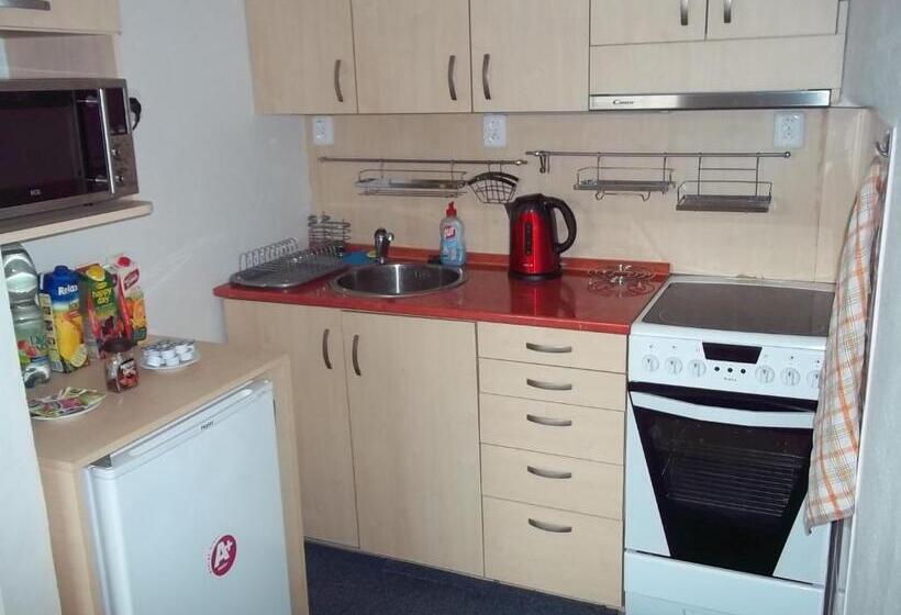 آپارتمان عادی 1 خوابه, Penzion Apartmány Zlín