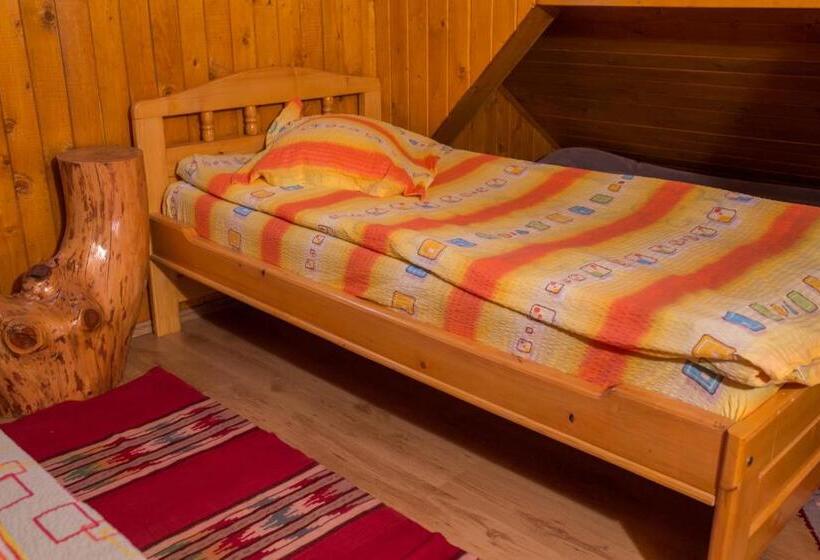 اتاق استاندارد با سرویس بهداشتی مشترک, Casa Neagu