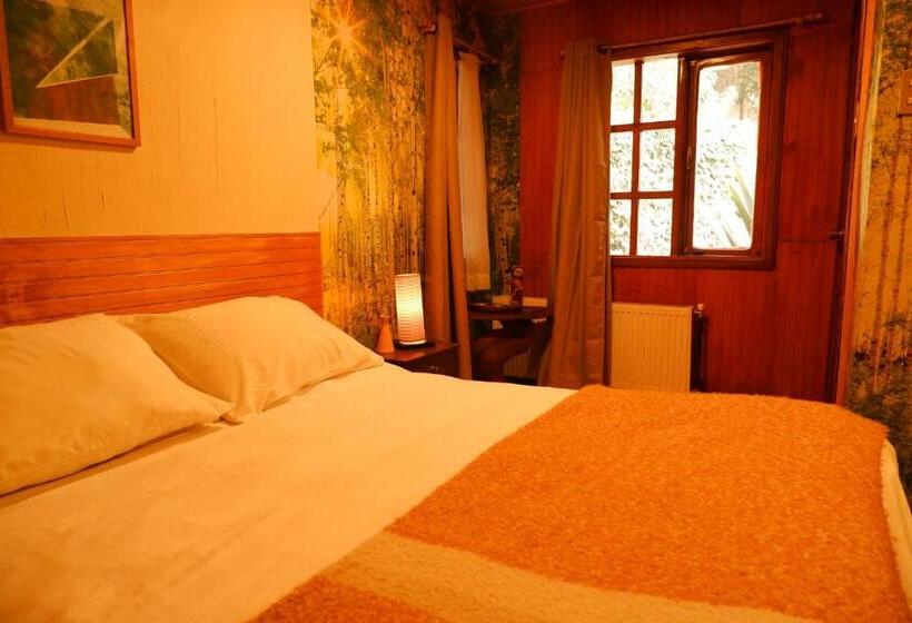 수피리어 룸, Hostel Capanegra