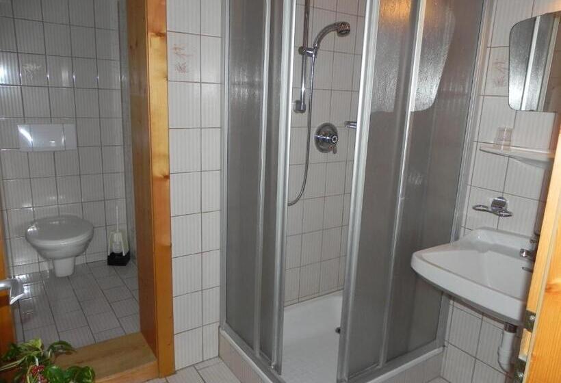 Номер Стандарт, Pension Schwaighof