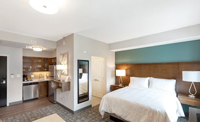 带双人床的标准工作室, Staybridge Suites   Naples   Marco Island, An Ihg