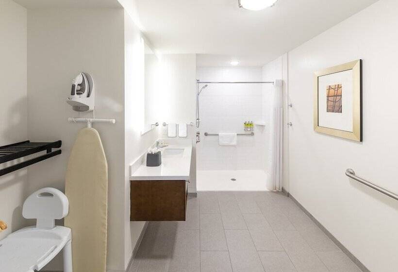 带双人床的标准工作室, Staybridge Suites   Naples   Marco Island, An Ihg