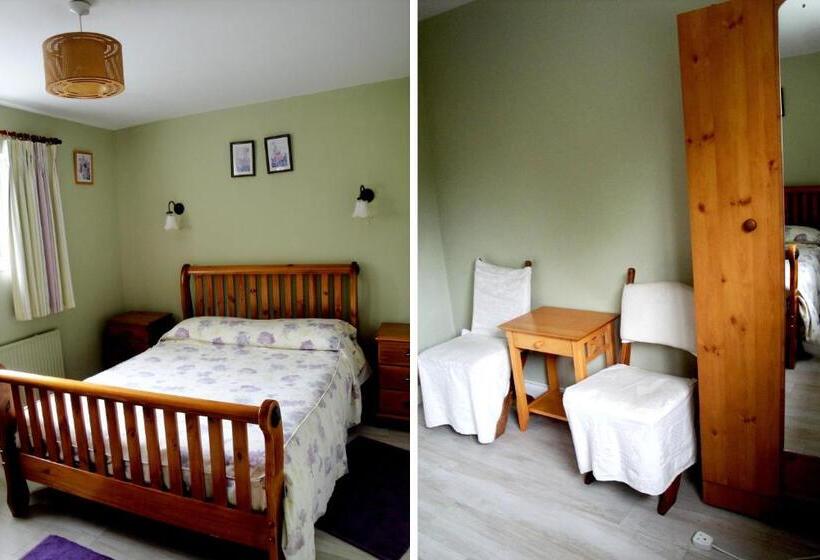 Номер Стандарт, Ardrinane House